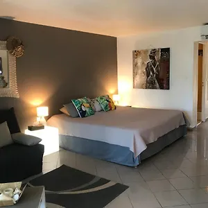 De Charme Appartement Le Gosier (Grande-Terre)